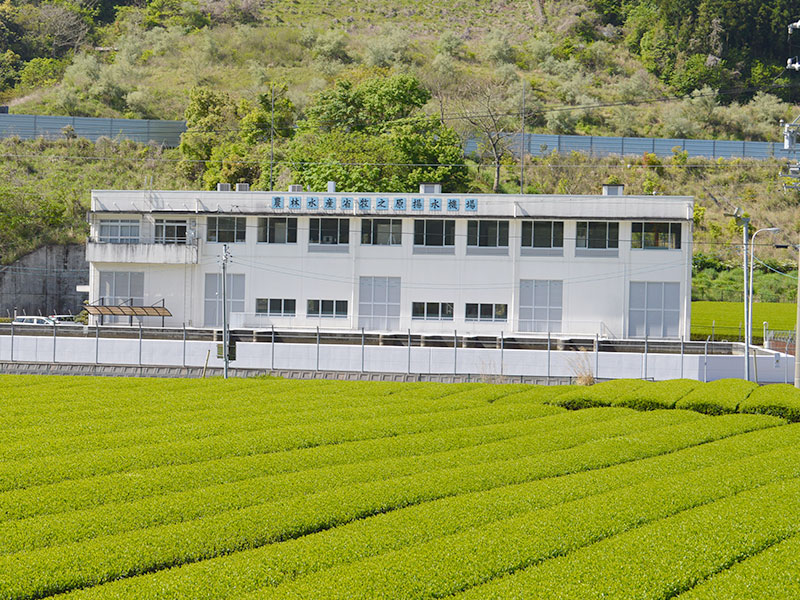 揚水機場